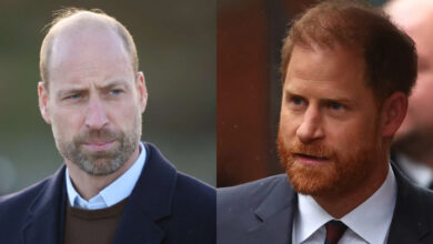 Prince William Freezes Prince Harry Out as Ruthless Royal Strategy Ends Reconciliation Dreams