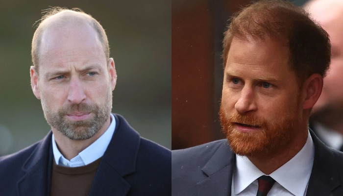 Prince William Freezes Prince Harry Out as Ruthless Royal Strategy Ends Reconciliation Dreams