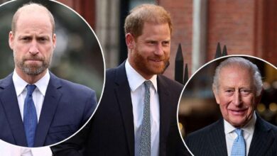 Prince Harry Faces Brutal Reality as William Reunion Proves Far Harder Than Making Peace With King Charles