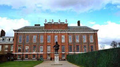 Prince William and Kate Middkleton Rocked by Festive Security Shock That Raises Chilling Questions