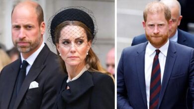 Prince William and Kate Middleton’s New Security Nightmare Quietly Proves Prince Harry Was Right All Along