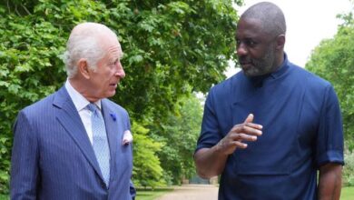 King Charles Breaks Tradition With Idris Elba Knighthood as Royal Protocols Face Quiet Shake Up
