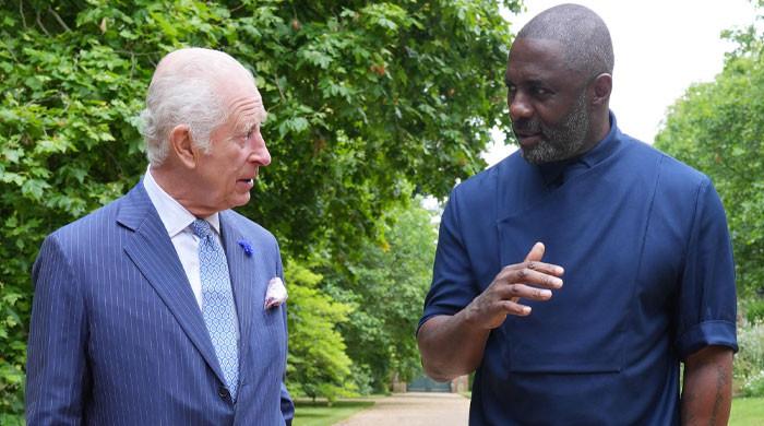 King Charles Breaks Tradition With Idris Elba Knighthood as Royal Protocols Face Quiet Shake Up