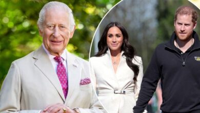 King Charles Secret Offer to Prince Harry and Meghan Markle Sparks Chaos After Deleted Palace Bombshell
