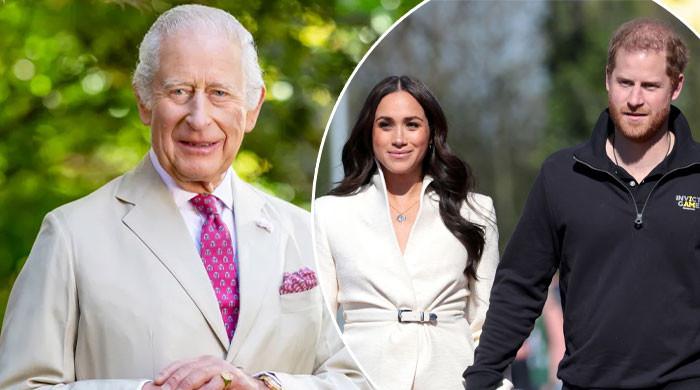 King Charles Secret Offer to Prince Harry and Meghan Markle Sparks Chaos After Deleted Palace Bombshell