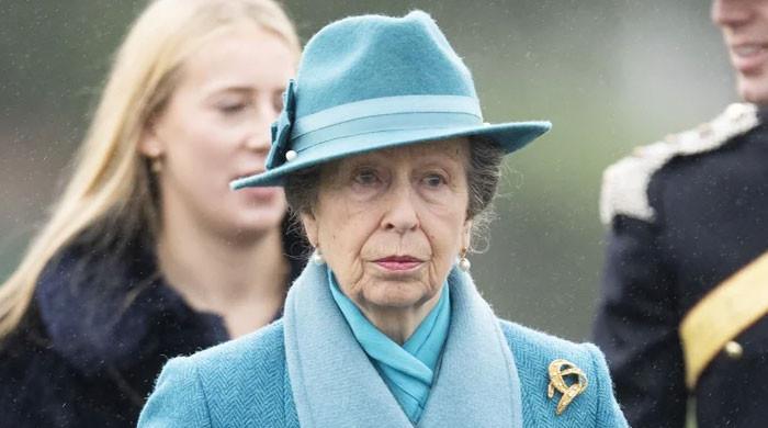 Buckingham Palace Breaks Silence as Princess Anne Steps Forward While Prince Harry Invitation Storm Grows