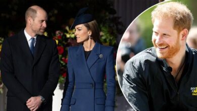 Prince William and Kate Middleton Drop Joyful Bombshell as Prince Harry Returns to Britain