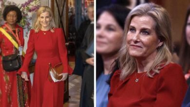 Duchess Sophie Steps Into History as King Charles Trusts Her With Powerful Global Role