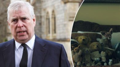 Andrew Mountbatten Faces Emotional Meltdown as King Charles Forces Him to Abandon Royal Lodge and His Beloved Teddies