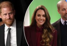 Prince Harry Quietly Lands in UK Just Before Prince William and Kate Middleton Make Strategic Scotland Move