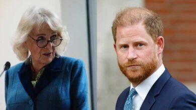 Buckingham Palace Break Silence as Queen Camilla Earns Praise After Prince Harry Emotional Court Bombshell