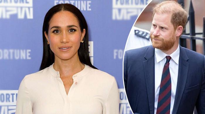 Meghan Markle Pushes Ahead With Risky Business Move as Prince Harry Sounds Alarm Bells