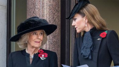 Kate Middleton Quietly Follows Queen Camilla’s Lead With Emotional New Mission for Children