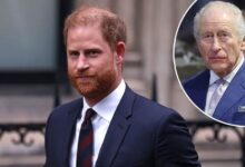 Prince Harry Breaks Royal Silence With Daring Statement That Quietly Shields King Charles