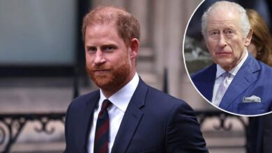 Prince Harry Breaks Royal Silence With Daring Statement That Quietly Shields King Charles