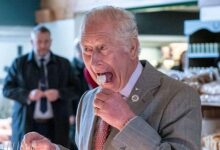 King Charles and Prince Harry Share Surprising Bond That Refuses to Break Despite Royal Rift