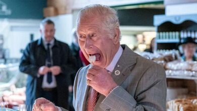 King Charles and Prince Harry Share Surprising Bond That Refuses to Break Despite Royal Rift