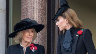 Kate Middleton and Queen Camilla Secret Alliance Exposed as Royal Power Balance Quietly Shifts