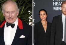 King Charles Drops Bombshell Lesson for Prince Harry and Meghan Markle That Could Change Everything