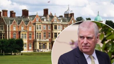 Sandringham Shock as Royal Team Rolls Out Big Summer Plans While Andrew Is Quietly Moved In