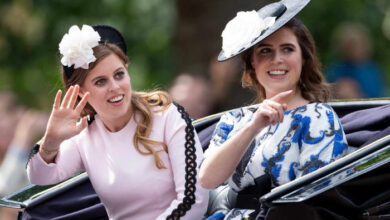 Princesses Beatrice and Eugenie Make Strategic Royal Shift as Family Scandal Forces New Direction