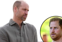 Prince William Set to Block Prince Harry Diana Documentary as Shocking Legal Clash Brews