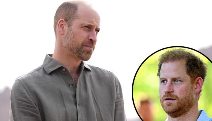 Prince William Set to Block Prince Harry Diana Documentary as Shocking Legal Clash Brews