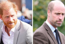 Prince Harry Secretly Reached Out to Prince William but Reconciliation Effort Collapsed