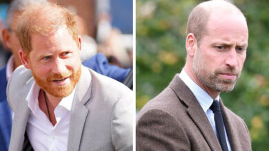 Prince Harry Secretly Reached Out to Prince William but Reconciliation Effort Collapsed