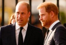 Prince Harry and Prince William Physical Fight Revealed Shocking Truth Behind Royal Rift