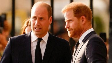 Prince Harry and Prince William Physical Fight Revealed Shocking Truth Behind Royal Rift