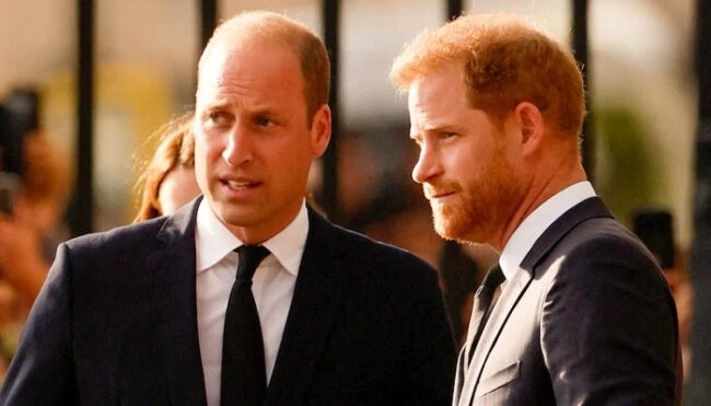 Prince Harry and Prince William Physical Fight Revealed Shocking Truth Behind Royal Rift
