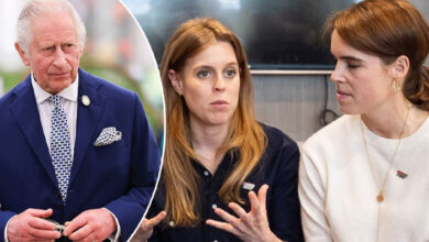 Princess Beatrice and Eugenie Make Desperate Plea as King Charles Approves Police Action Against Andrew