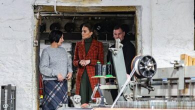 Kate Middleton Stuns Fans With Secret Family Addition as Princess of Wales Shares Heartwarming Home Update