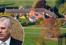 Andrew Mountbatten Windsor Humiliated as Royal Staff Turn Their Backs in Shocking New Home Snub