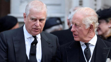 Andrew Mountbatten Windsor Faces Criminal Probe as King Charles Shield Begins to Crumble