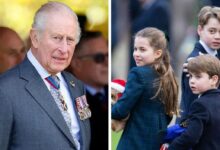King Charles Makes Powerful Move to Shield His Grandchildren as Royal Crisis Deepens