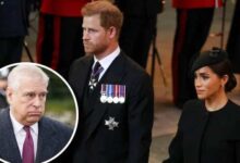 Prince Harry and Meghan Markle Relieved as Palace Storm Shifts Focus to Andrew Scandal