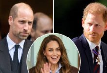 Prince William and Prince Harry Reconciliation Talk Shaken as Kate Middleton Peacemaker Claims Fall Apart