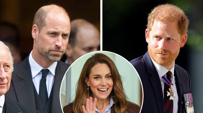 Prince William and Prince Harry Reconciliation Talk Shaken as Kate Middleton Peacemaker Claims Fall Apart