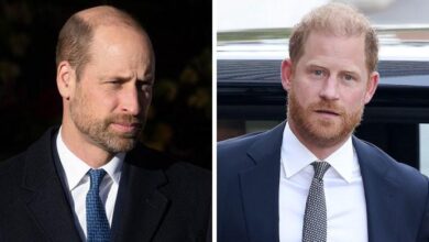 Prince Harry and Prince William Secret Clash Finally Laid Bare and Palace Truth Leaves Royals Reeling