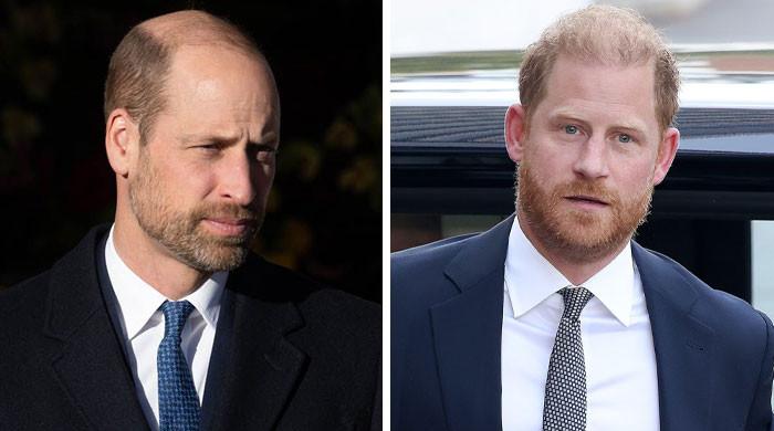 Prince Harry and Prince William Secret Clash Finally Laid Bare and Palace Truth Leaves Royals Reeling