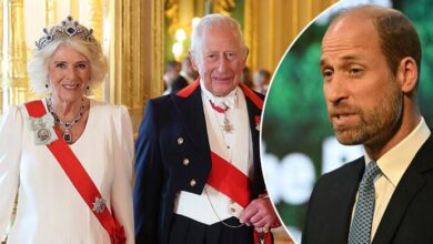King Charles and Queen Camilla Sends Powerful Silent Signal as Prince William Makes Bold Decision
