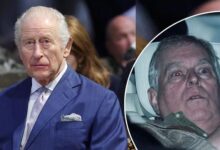 King Charles Turns To Princess Anne And Prince William As Andrew Mountbatten Windsor Crisis Explodes