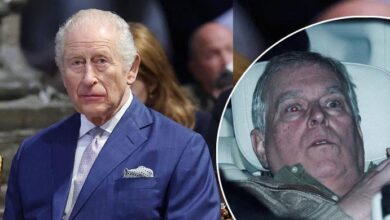 King Charles Turns To Princess Anne And Prince William As Andrew Mountbatten Windsor Crisis Explodes