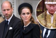 Prince William and Kate Middleton Unveil Bold Master Plan As King Charles Faces Deep Concern Over Monarchy Future