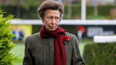 Royal Family Finally Speaks On Princess Anne After Andrew Mountbatten Windsor Heckling Drama