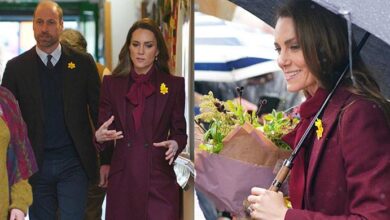 Prince William and Kate Middleton Touch Down in Powys for Heartwarming Celebration That Stole the Spotlight