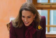 Prince William Rushed To Shield Kate Middleton After Shocking Royal Moment As Harry And Meghan Spark Global Attention