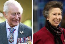 King Charles Praises Princess Anne As Secret Meeting Reveals Bold Royal Plan To Tackle Crisis